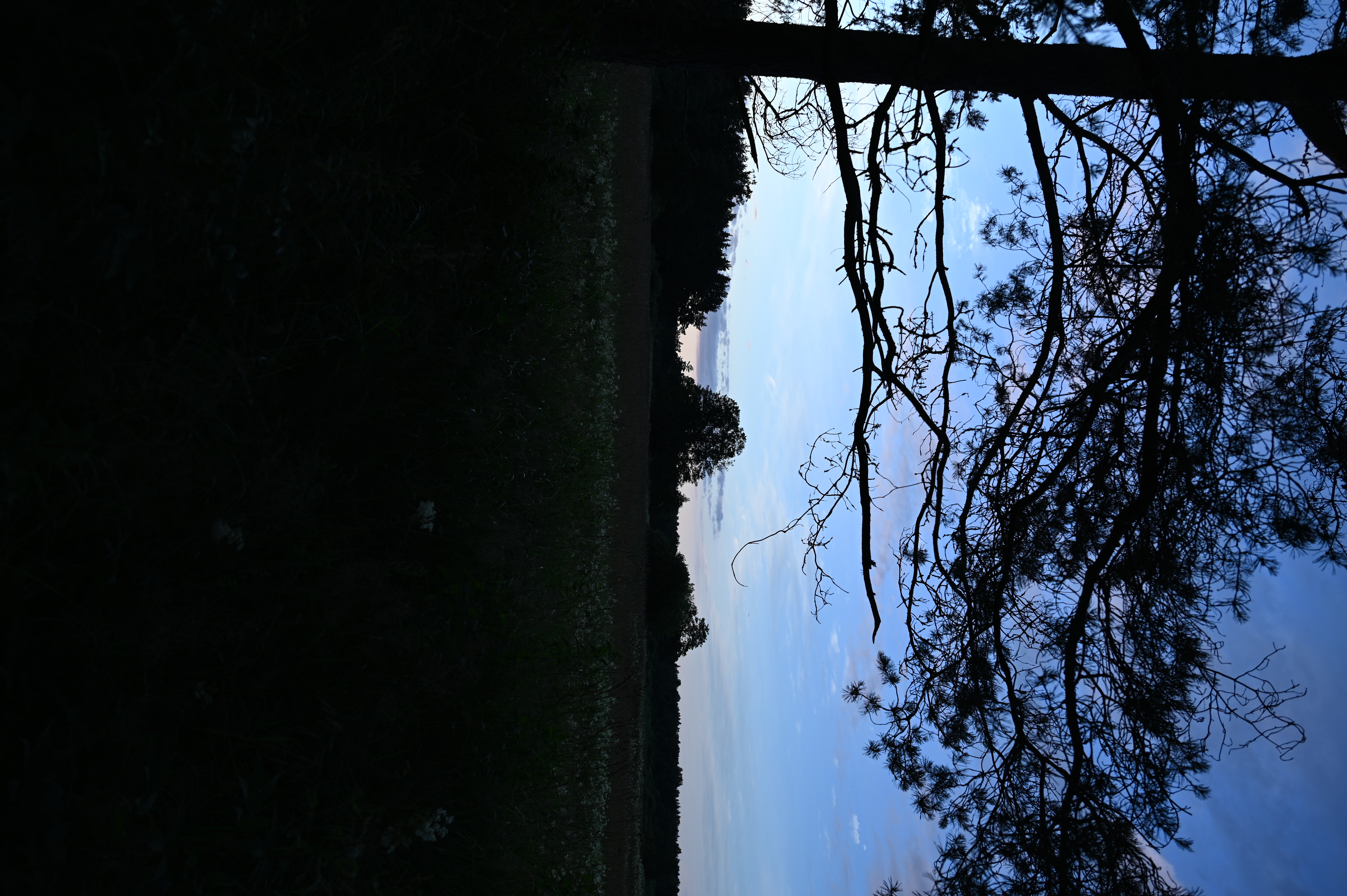 2025/07/09-14 - trip/DSC_0093.JPG